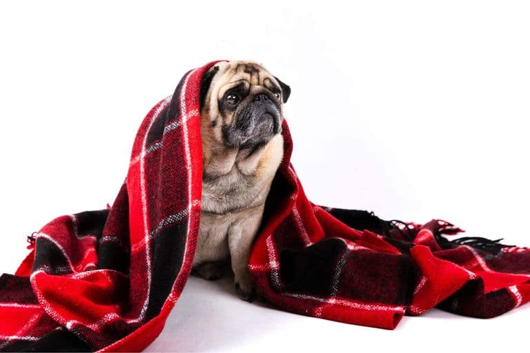 Imagem migrada do WordPress: frio.jpg