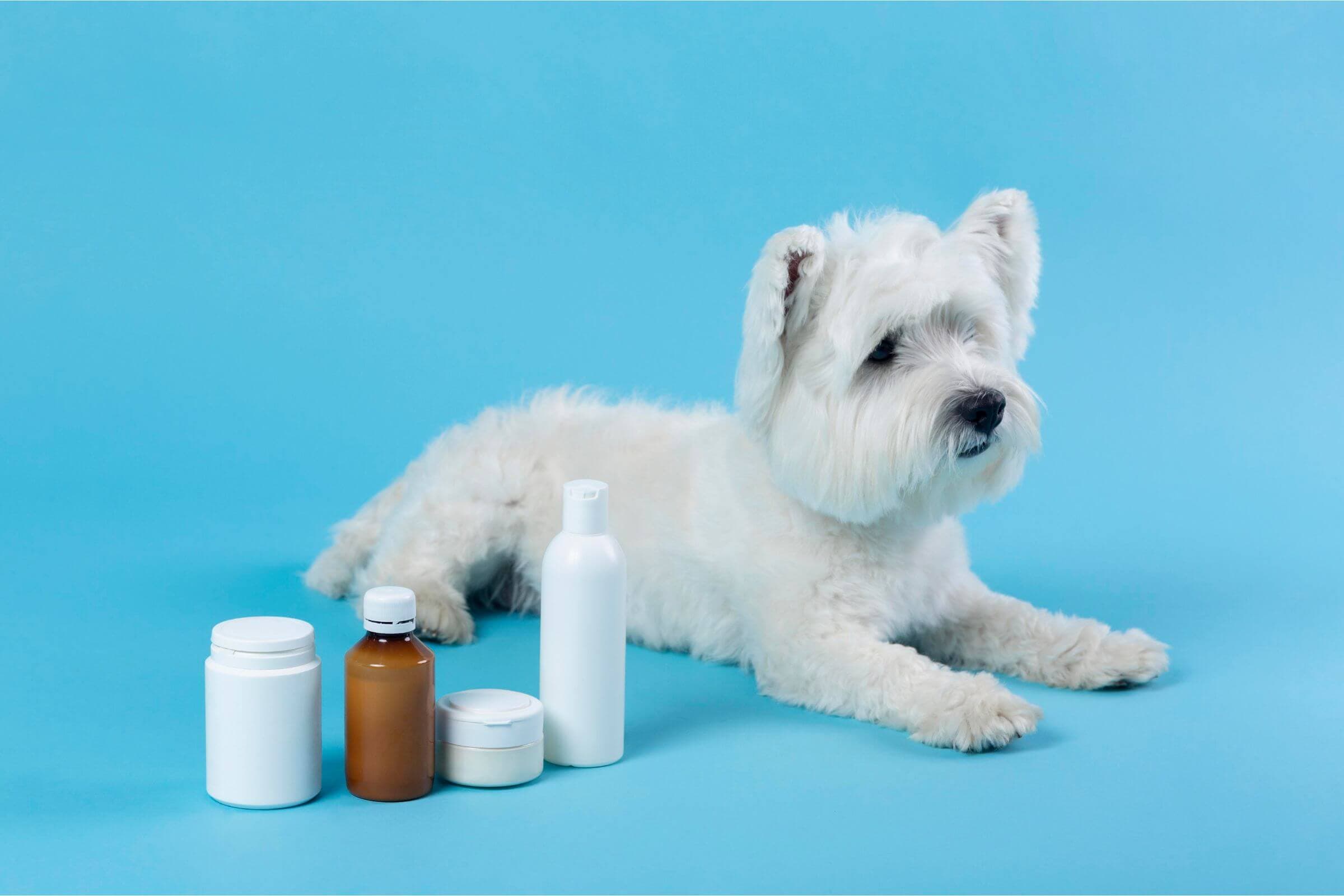 Imagem migrada do WordPress: medicamentos toxicos para os pets VetoPet veterinario 24h em Maringa.jpg