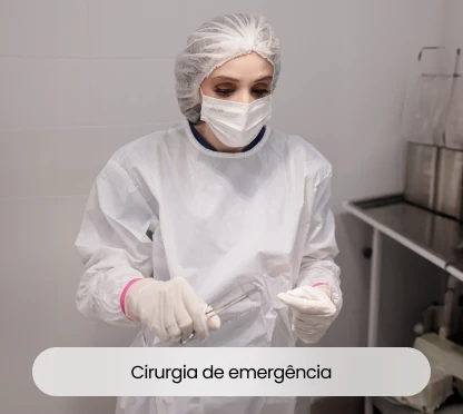 Cirurgia de emergência - VetôPet - Clínica Veterinária 24h em Maringá - Plantão