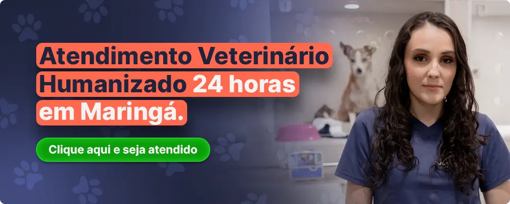 Atendimento em Clínica Veterinária 24h em Maringá VetôPet 24h