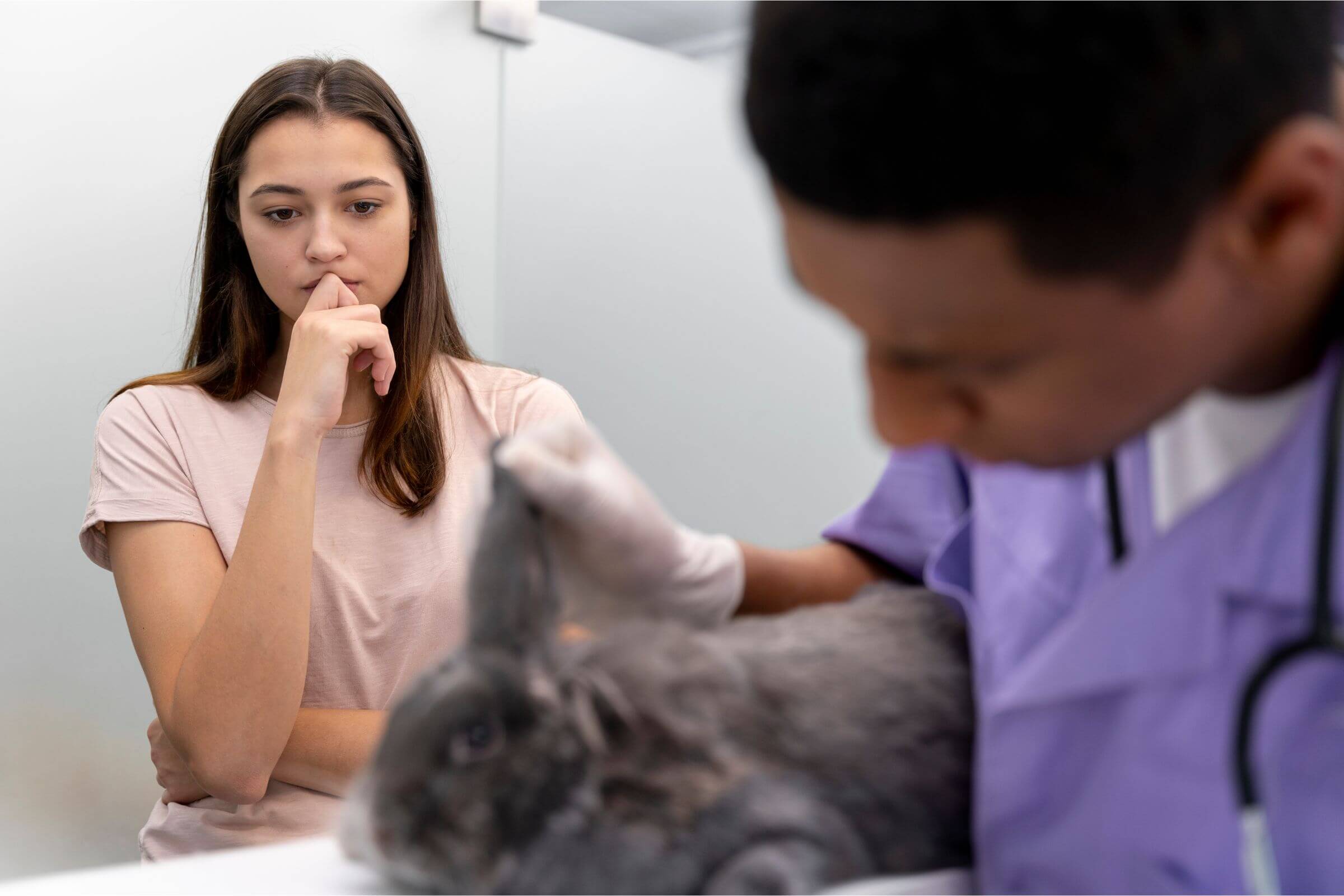 Oncologista Veterinário: Quanto Custa em Maringá em 2024? clínica veterinária 24h