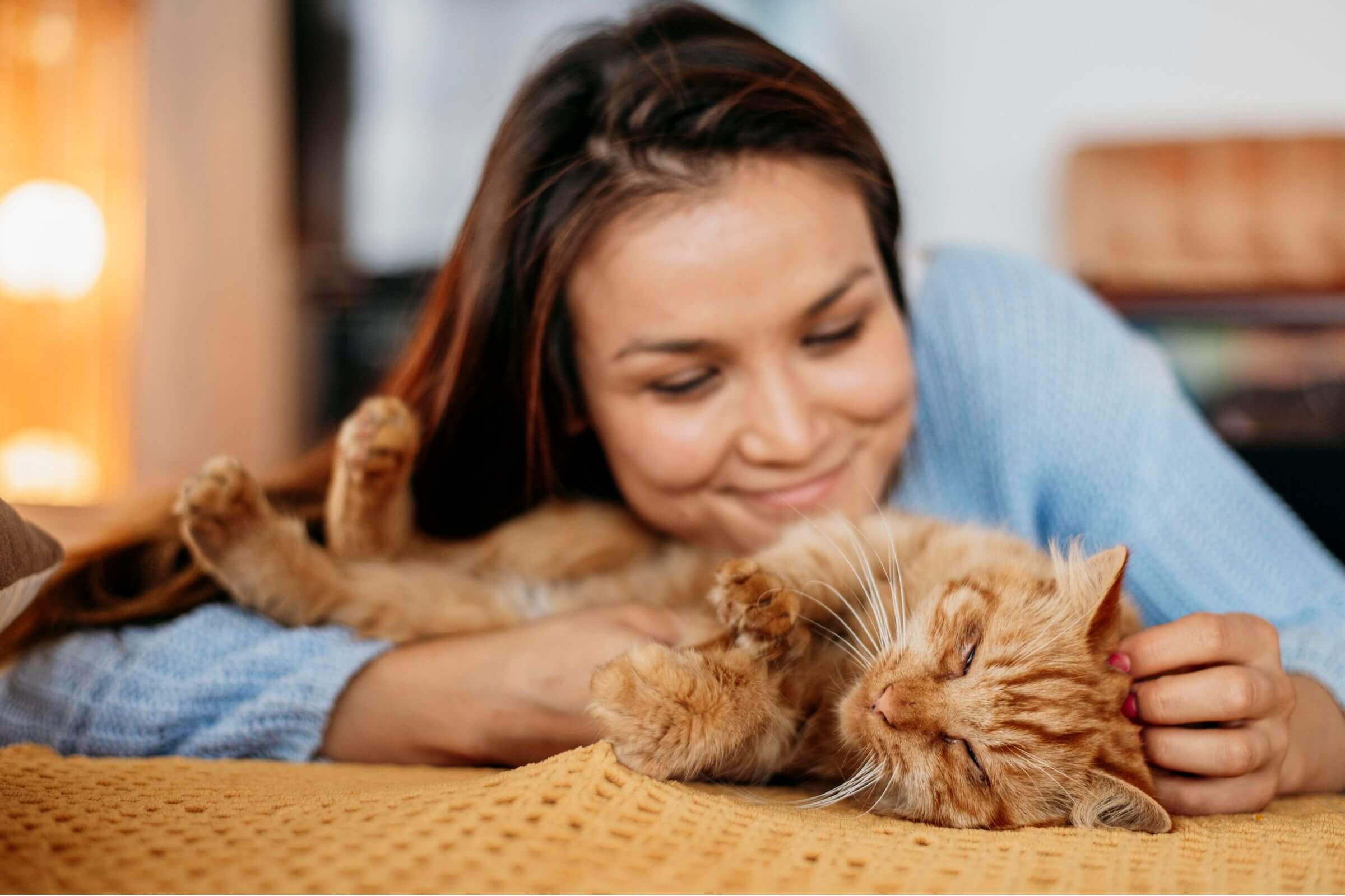 Adotar um Gato: Cuidados Essenciais Para Seu Novo Amigo clínica veterinária 24h