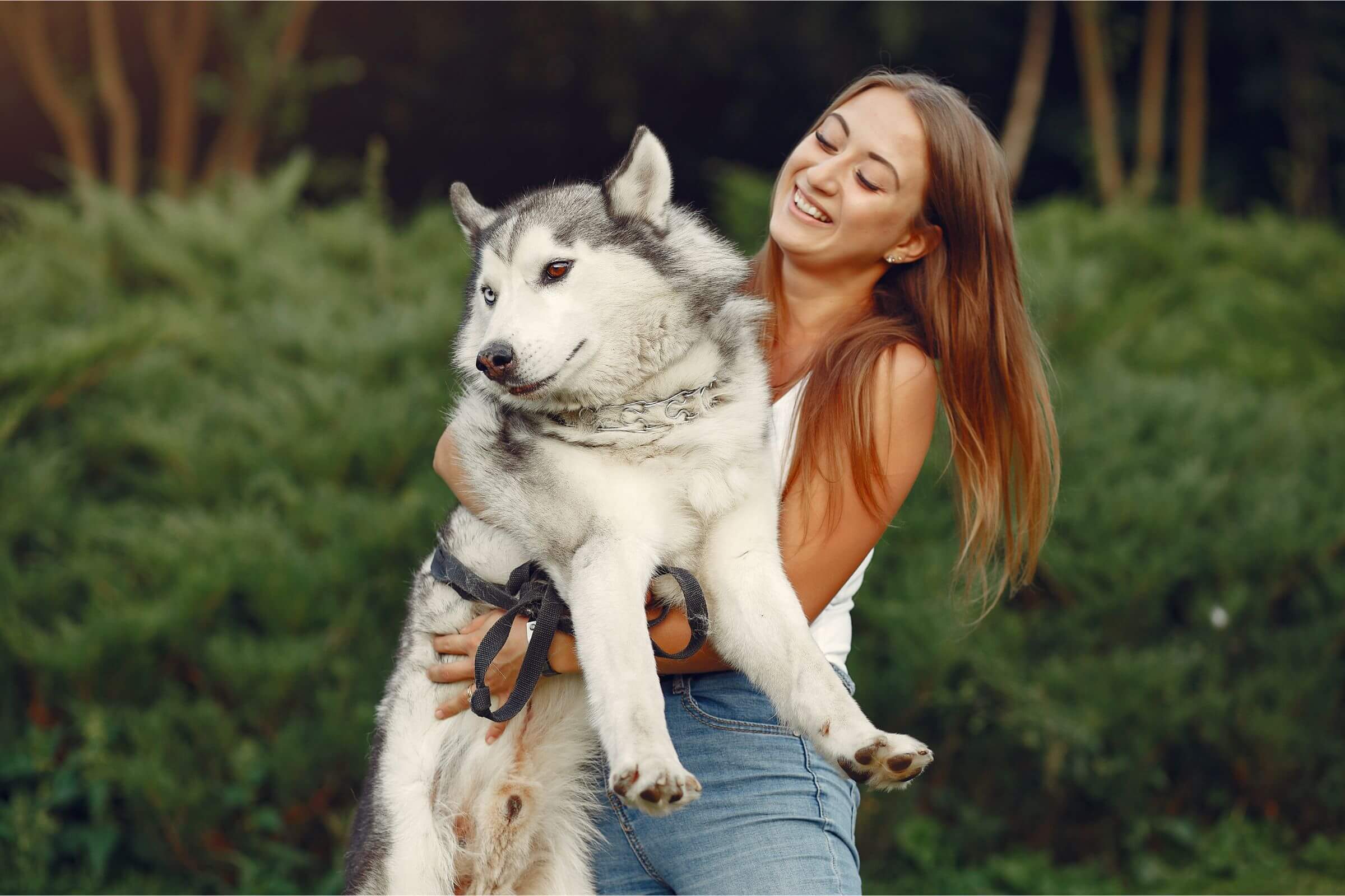 Cuidados Essenciais para Cães de Grande Porte, clínica veterinária 24h