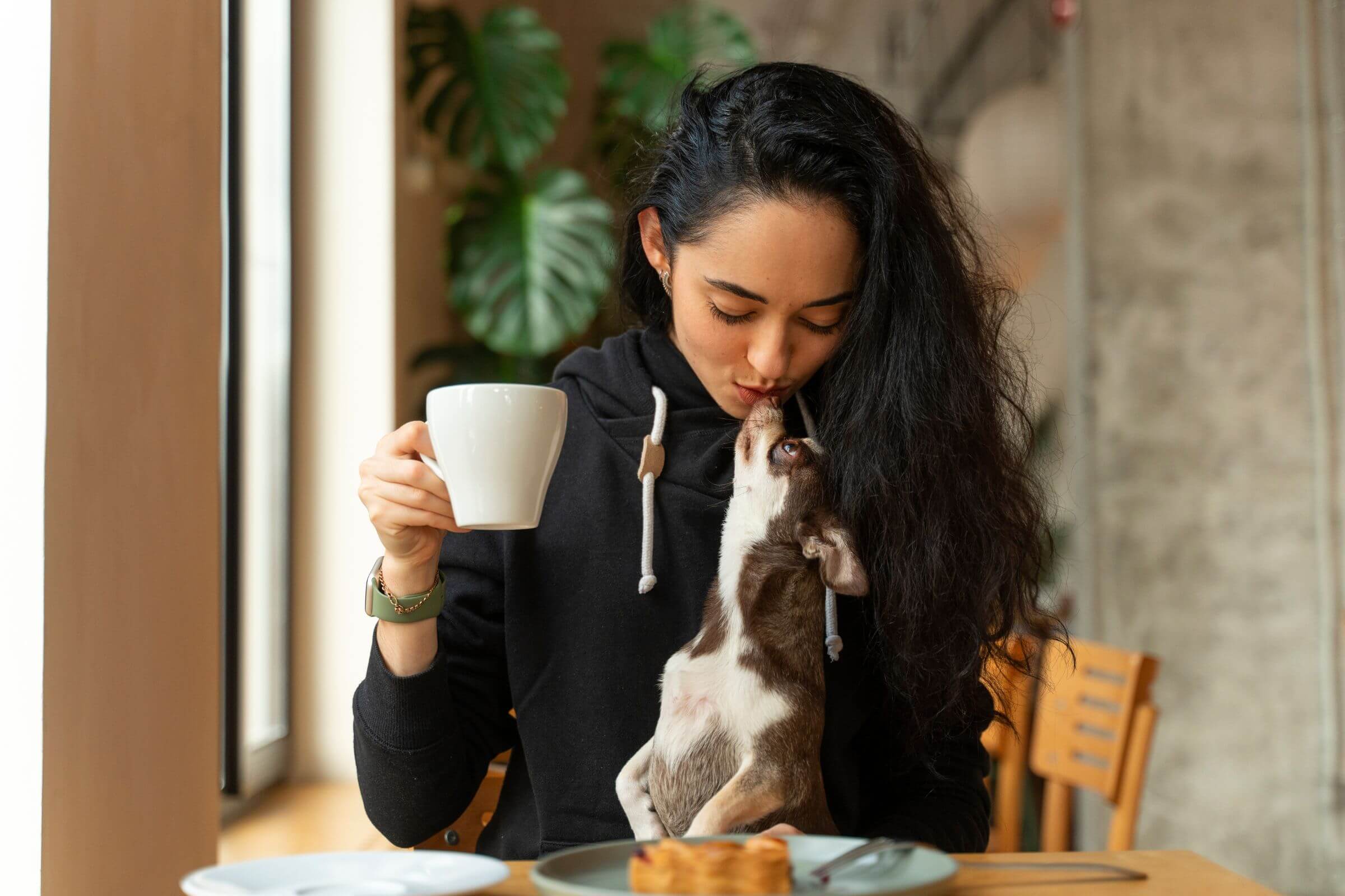 3 Cafés Pet-Friendly em Maringá para Curtir com Seu Melhor Amigo, clínica veterinária 24h