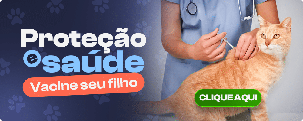 Vacina para Gatos - Veterinário 24h em Maringá