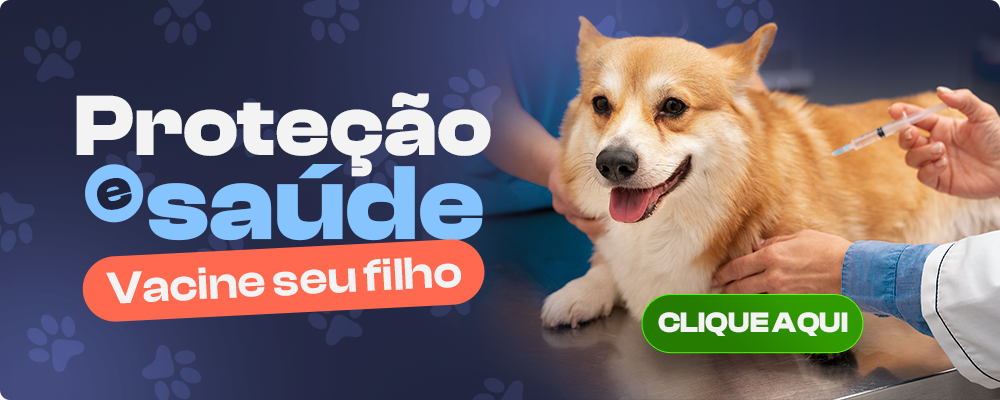 Vacinação de cachorro - VetôPet Clínica Veterinária 24h em Maringá