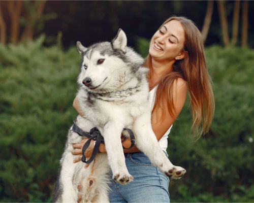 Cuidados Essenciais para Cães de Grande Porte, clínica veterinária 24h