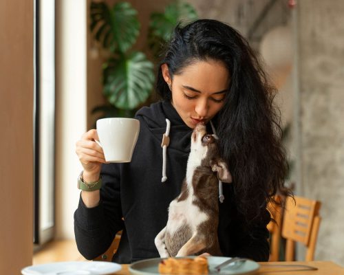 3 Cafés Pet-Friendly em Maringá para Curtir com Seu Melhor Amigo, clínica veterinária 24h